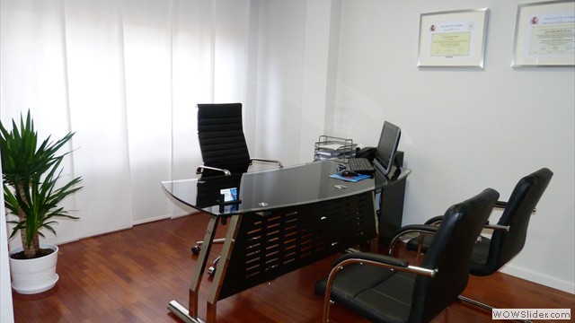Consulta